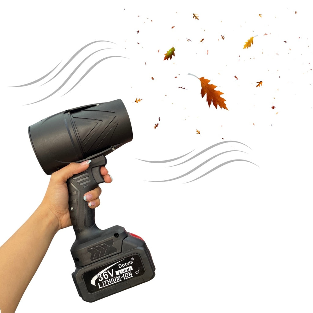 SOPLADORA DE AIRE