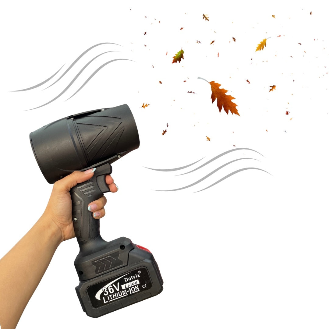 SOPLADORA DE AIRE